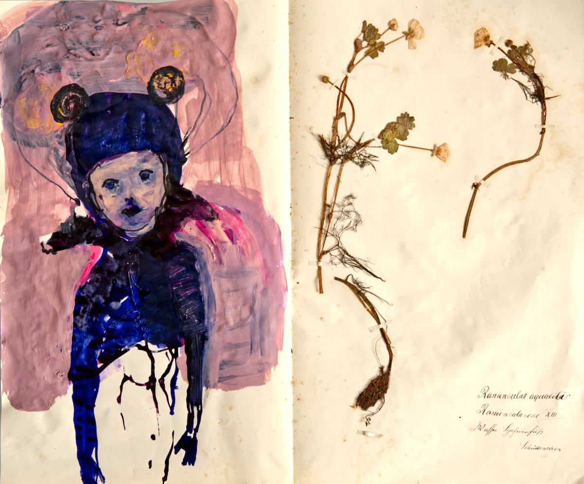 From the herbarium, mixed technique on paper 38,5 x 46 cm, 2024